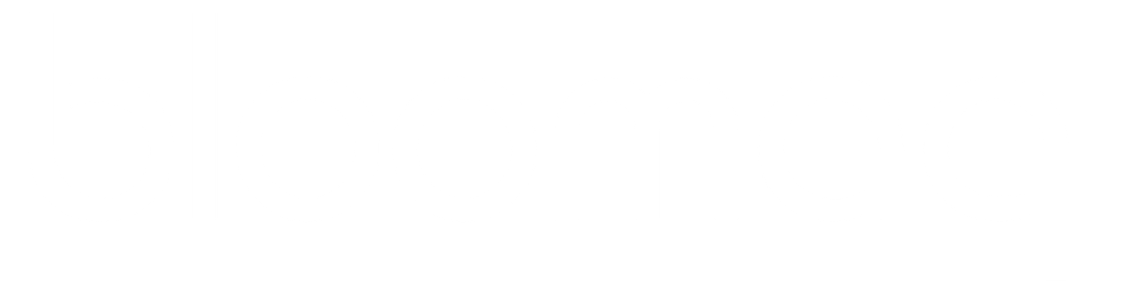 bloomaq-v2-foot-logo